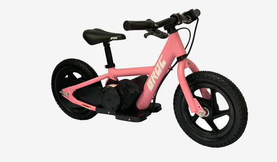 childelectricbike.jpg