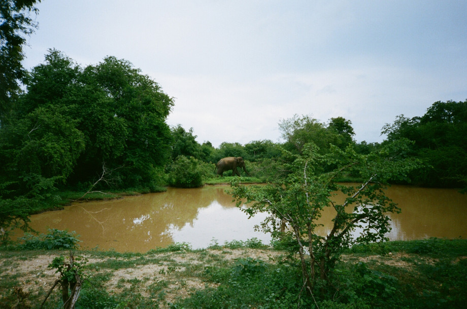 nationalparksinsrilanka.jpg