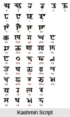 kashmiri_script_1.jpeg