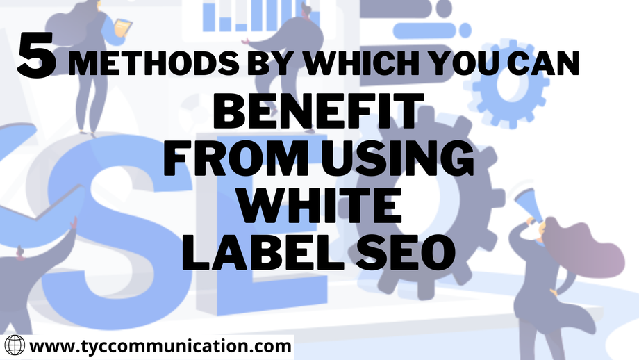 5methodsbywhichyoucanbenefitfromusingwhitelabelseo.png