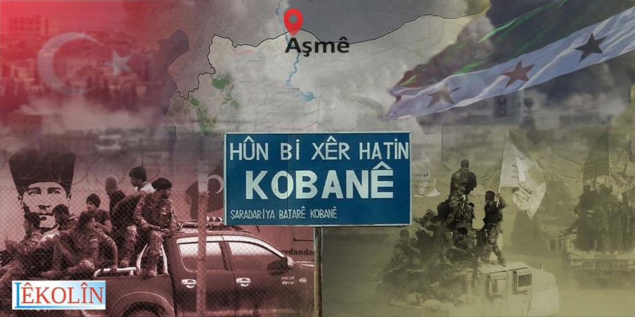 asmeozelhaberlekolinorg.jpg
