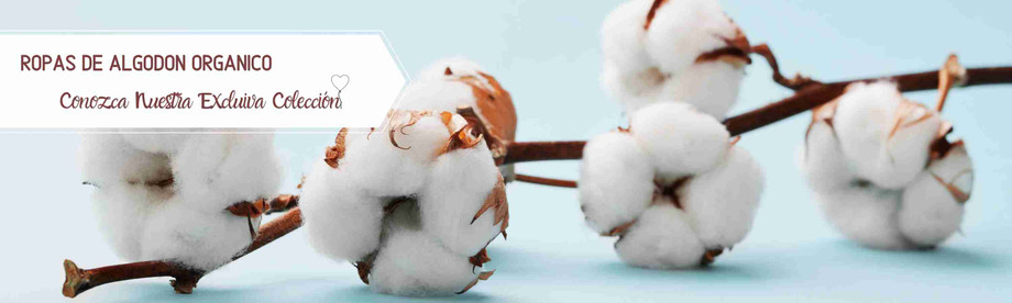 dora banner-algodon-organico-1.jpg