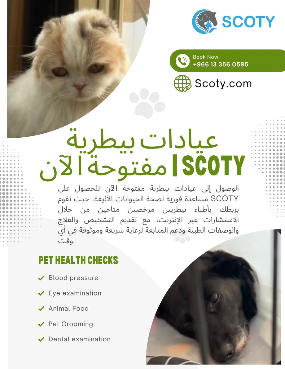 greenandwhitegeometricpetcareflyer1.jpg
