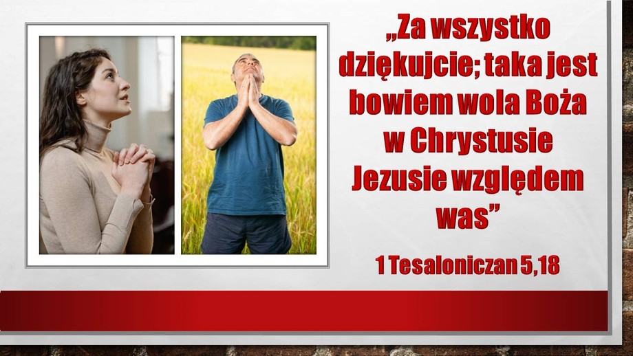 pl_vm2026t113.jpg