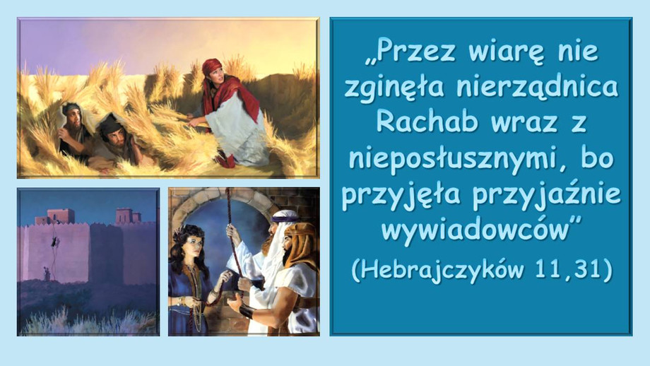 pl_vm2025t402.jpg