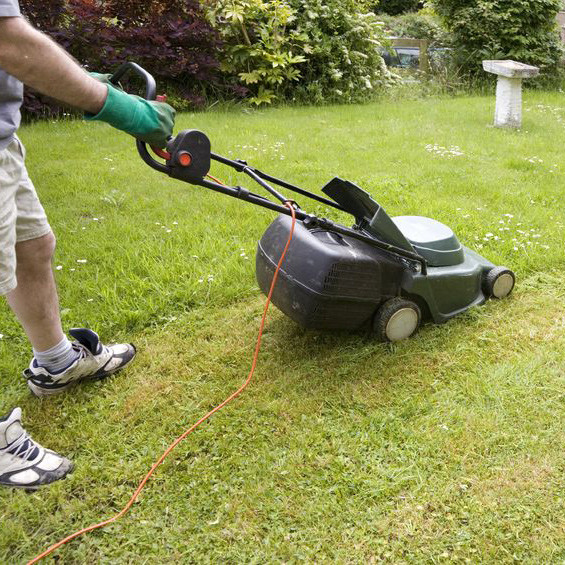 lawnmaintenancecompanies4.jpeg