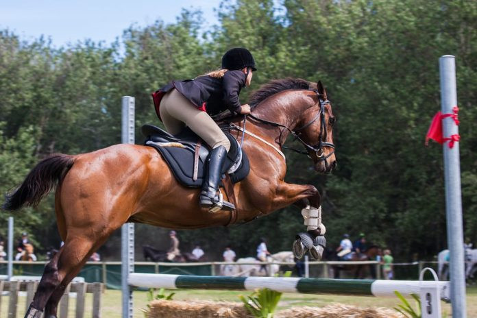 riding_spons_post1696x464.jpg