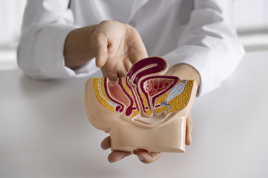 highangledoctorexplaininganatomy.jpg