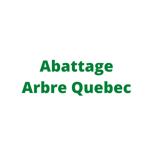 logo_abattage_arbre_quebec.png