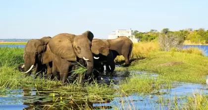 4_night_victoria_falls___chobe_houseboat_safari_ao_webp_40cd750bba9870f18aada2478b24840a1.jpg