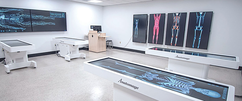 anatomytechnologycurriculum1.png