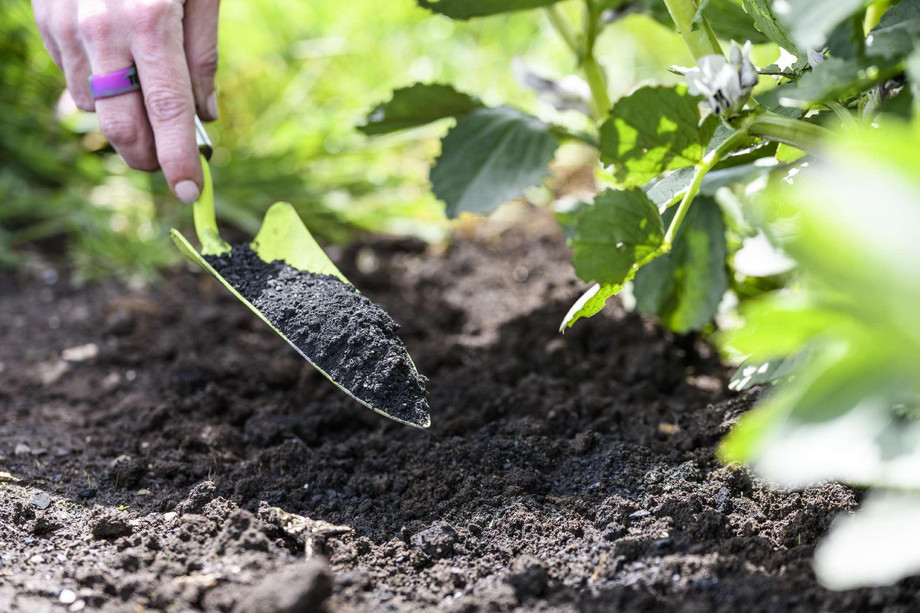 biocharsoilamendment.jpeg