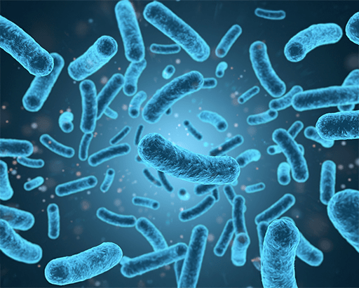 probioticcontractmanufacturer.png