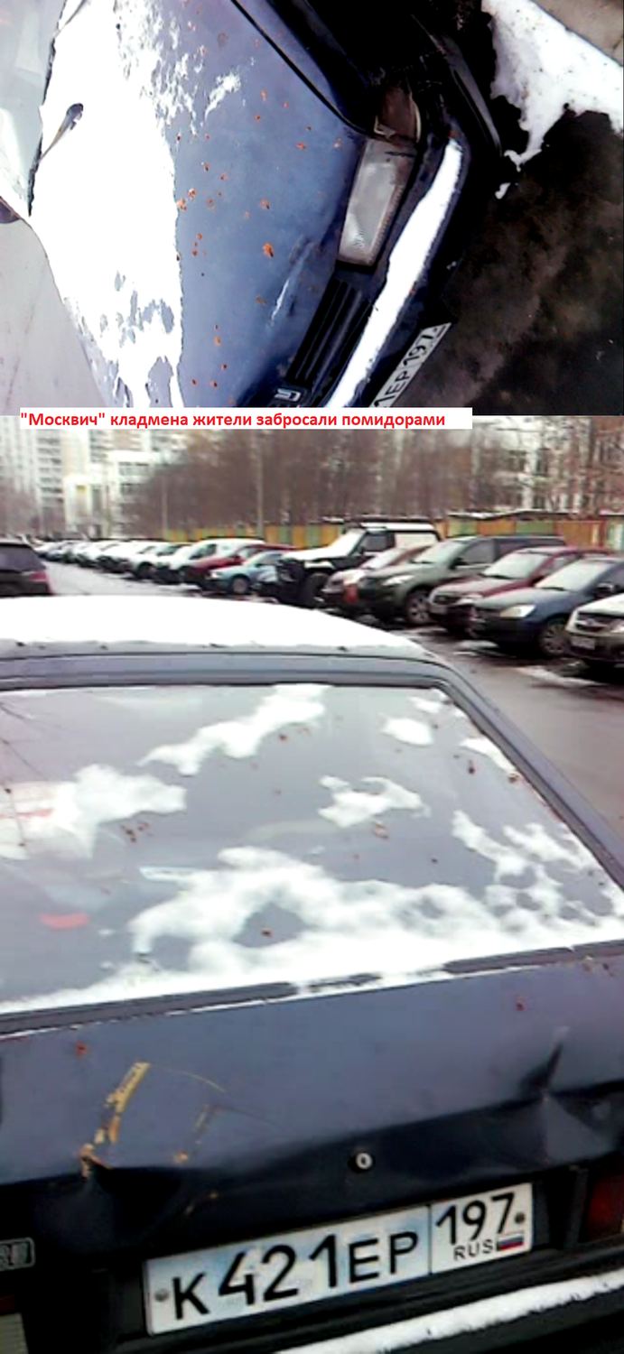 2fotomoskvickladmenazitelizabrosalipomidorami.png