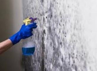 mouldcleaningservices.jpg