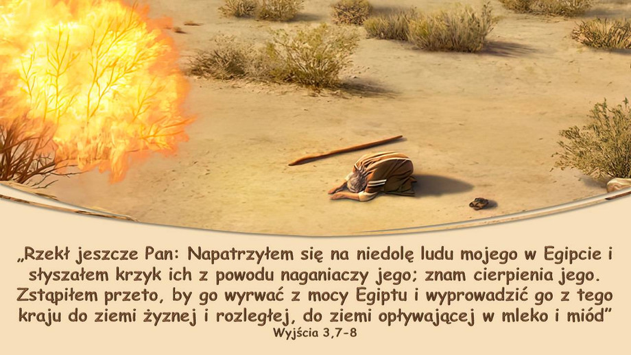 pl_vm2025t302.jpg