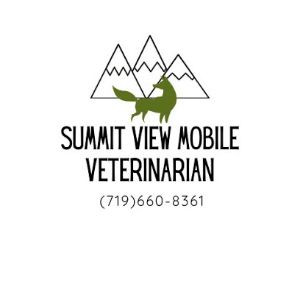 summitviewlogo1.jpg