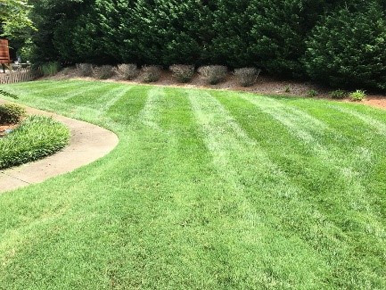keepyourlawnpristinewithlawnservicealpharettasolutions.jpg