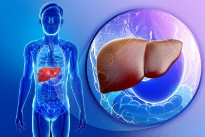 fightfattyliverdisease420x280.jpeg