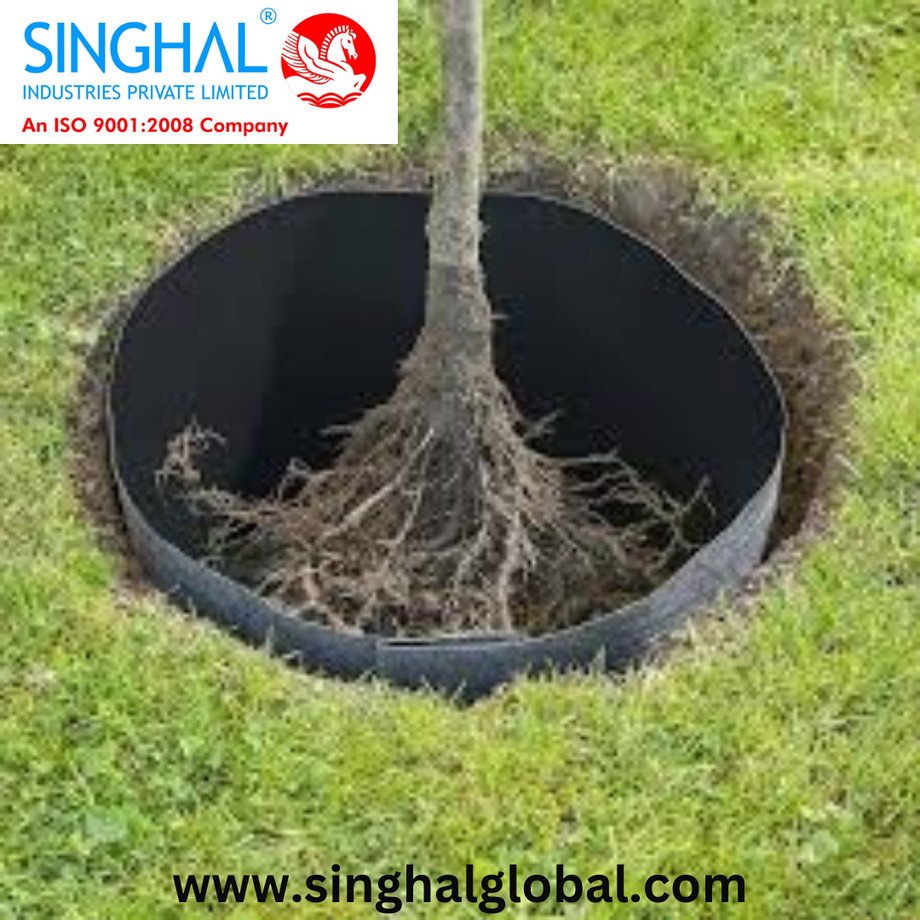 wwwsinghalglobalcom20240423t111452701.png