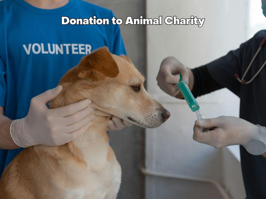 petmemorialideas4.jpg