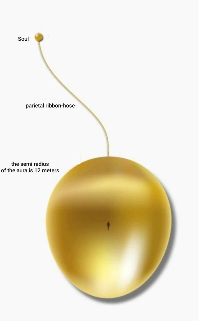1735857910602.jpg