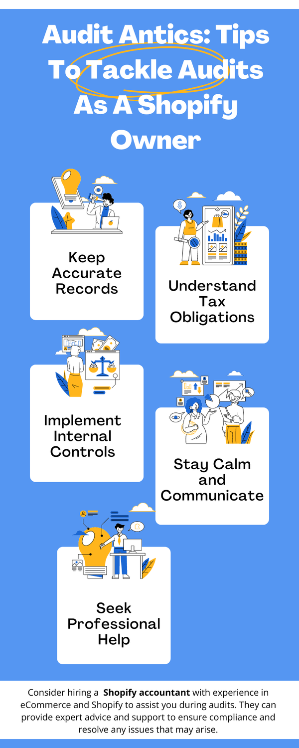 auditanticstipstotackleauditsasashopifyowner.png