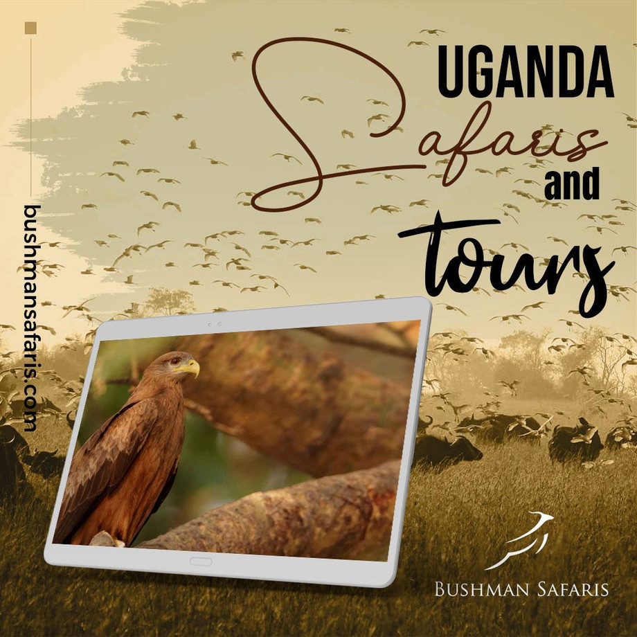 ugandasafarisandtours.jpg
