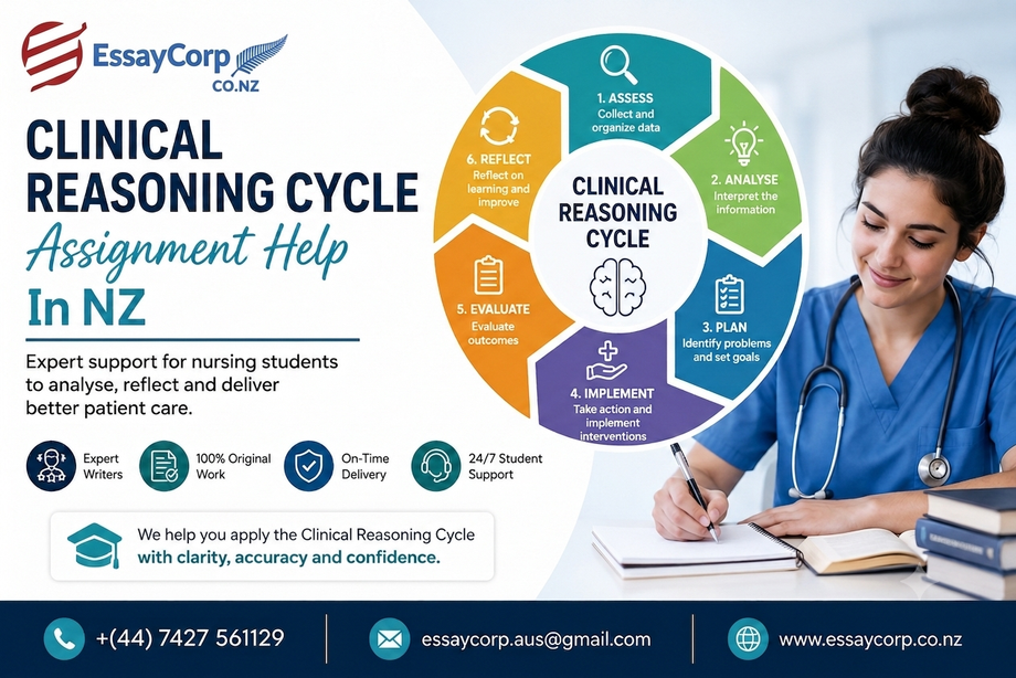 clinicalreasoningcycleassignmenthelpinnz.png