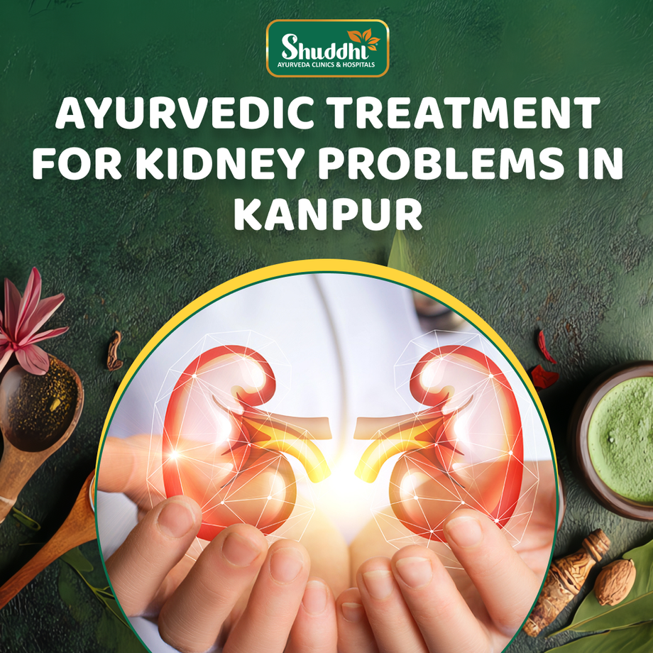 ayurvedictreatmentforkidneyproblemsinkanpur.png