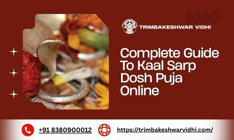 completeguidetokaalsarpdoshpujaonline.jpg