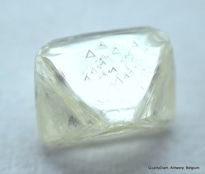 4dscn9764_300x.jpg