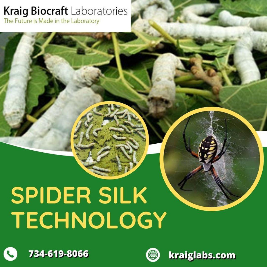 spidersilktechnology.jpg