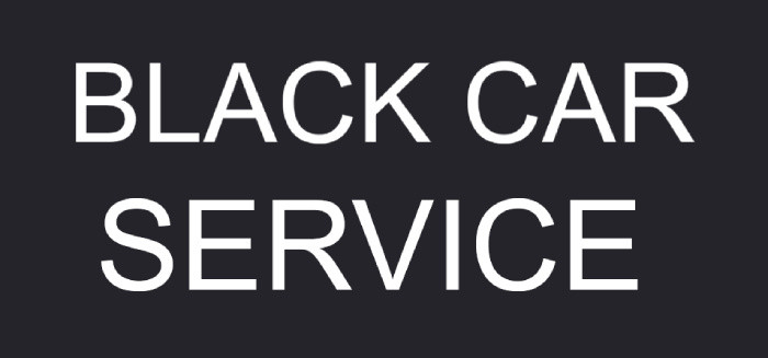 blackcarservicemdslogo.jpg