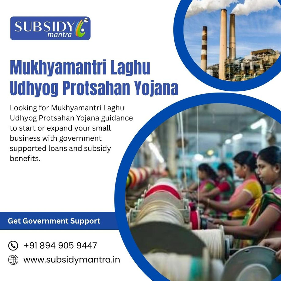 mukhyamantrilaghuudhyogprotsahanyojana.jpg