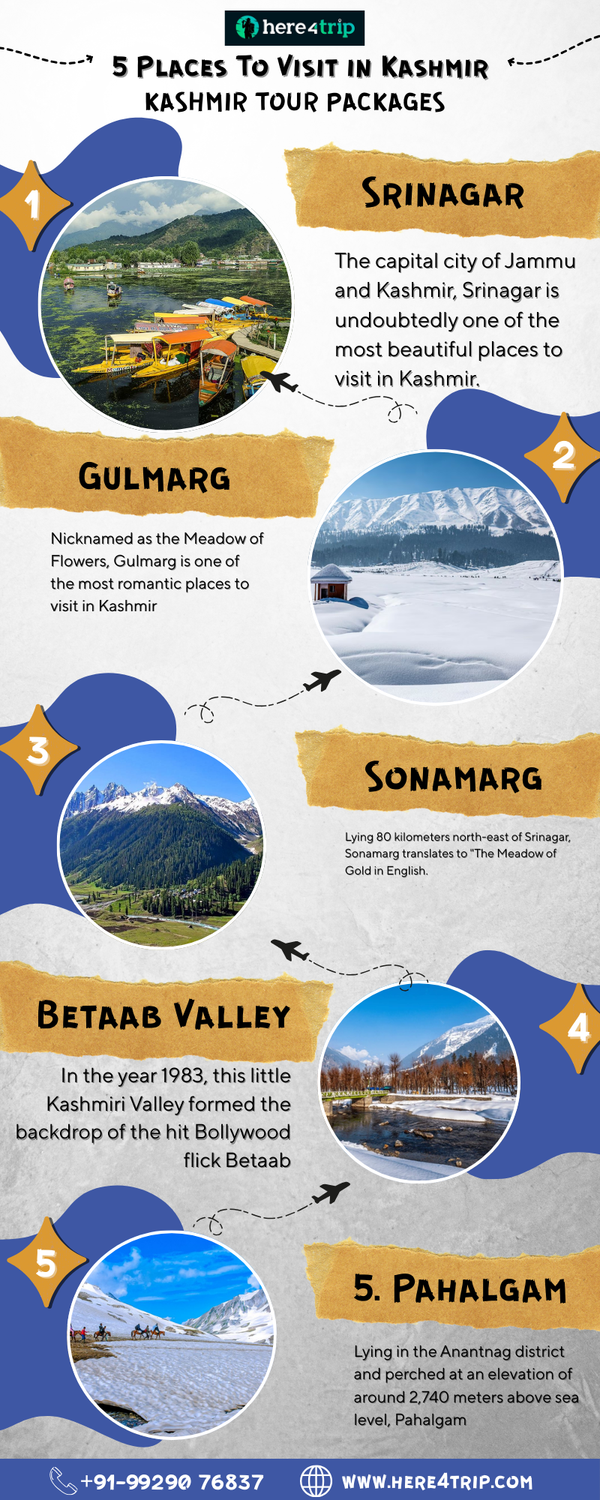 blueyellowandwhiteinformativetravelsupportinfographic.png