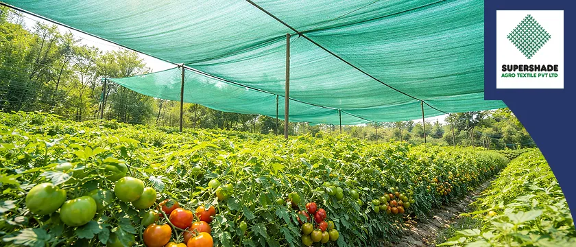 agroshadenetmanufacturerinindia.png
