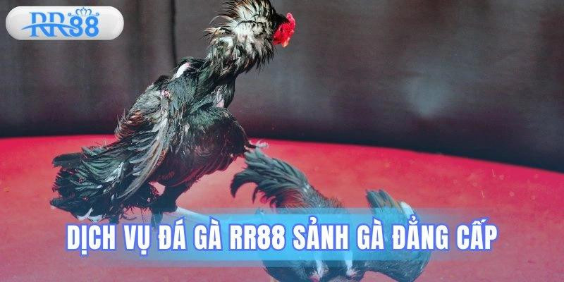 dichvudagarr88sanhgadangcap.jpg
