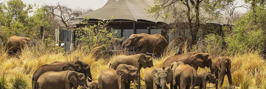 luxury_safari.jpg