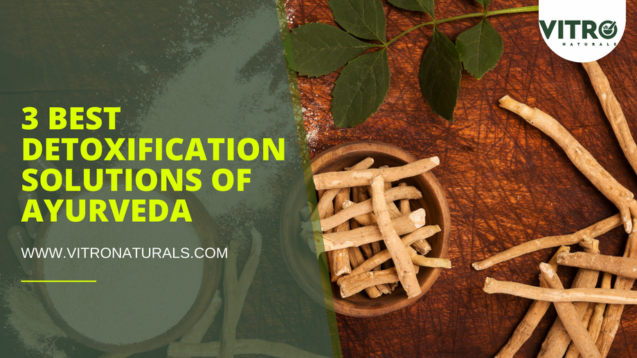 3bestdetoxificationsolutionsofayurveda.png