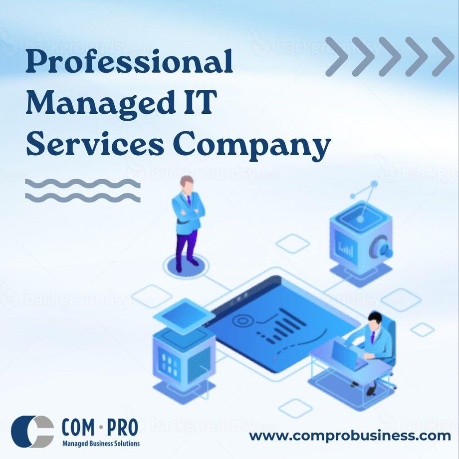 professionalmanageditservicescompany.jpg
