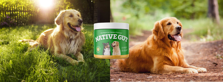 nativegutusapawsprobiotics.png