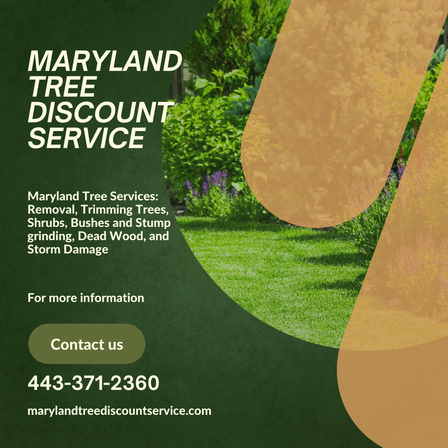 treeservicemiddlerivermd.png
