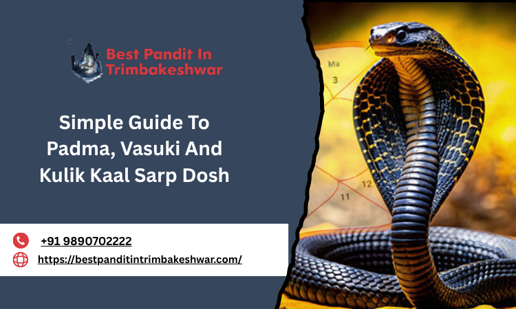 simpleguidetopadmavasukiandkulikkaalsarpdosh.png