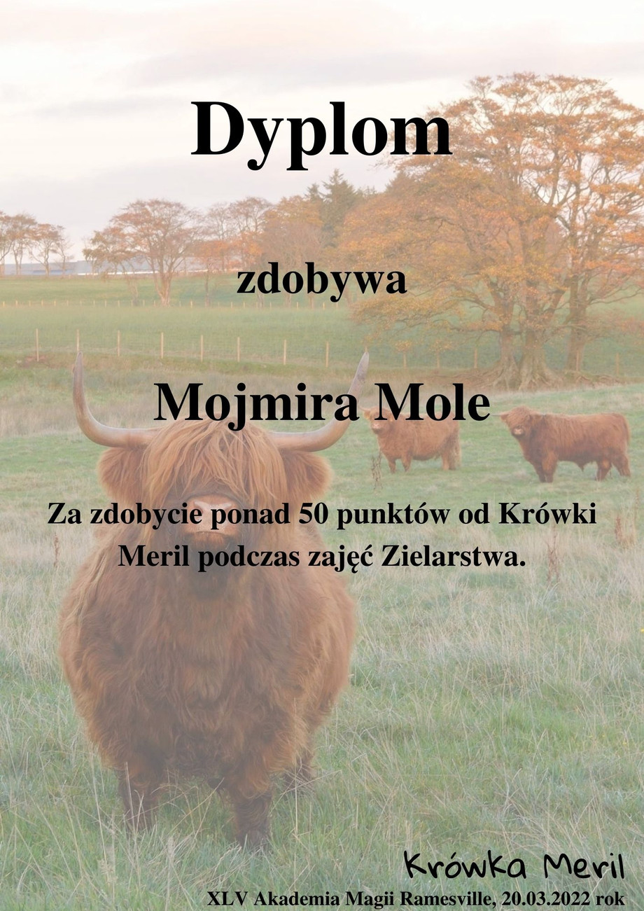 mojmira.jpg
