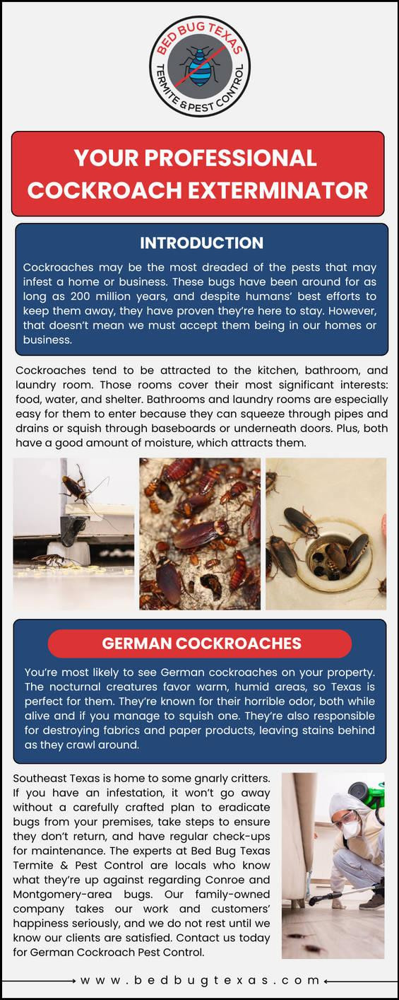 your_professional_cockroach_exterminator__bed_bug__by_bedbugtexasofficial_dimvaqmpre.jpg