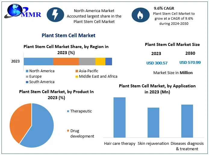 plantstemcellmarket1.webp