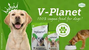 dogfood.jpg