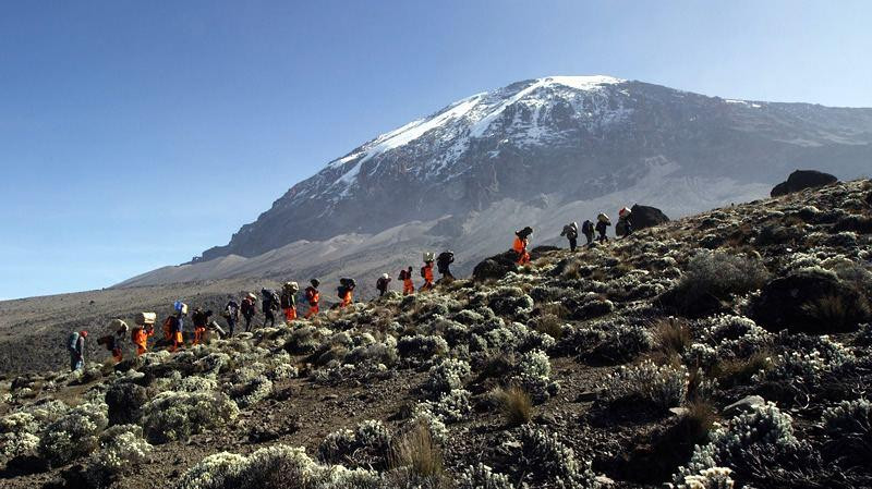 Choose the best climbing mount kilimanjaro tours