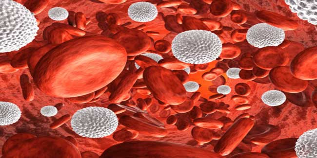 aplasticanemiamarket.jpg